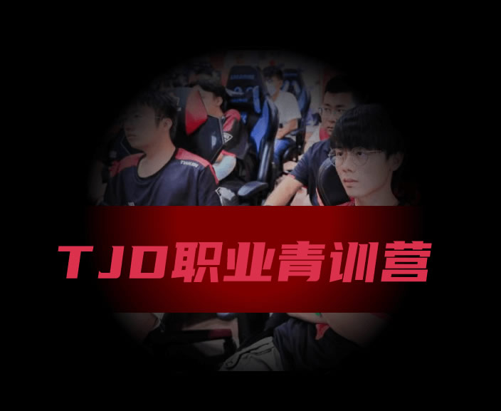 青训职业选手