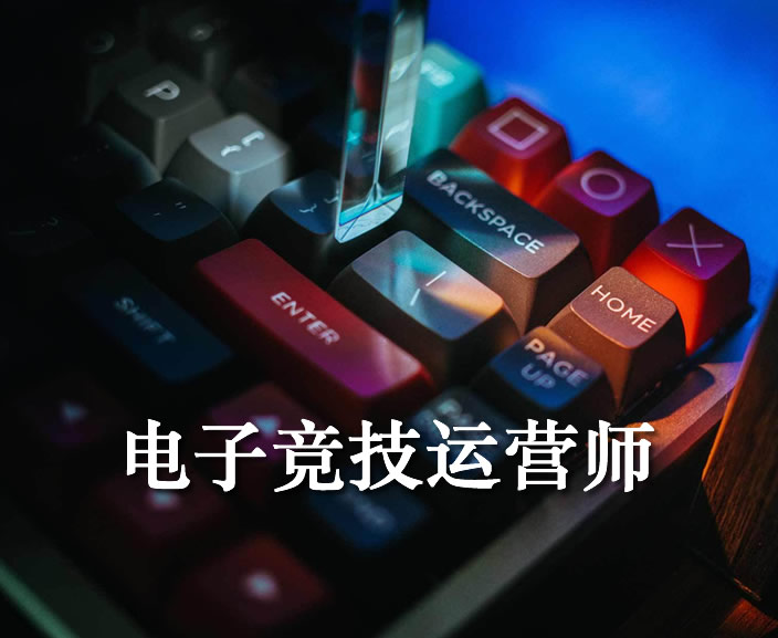 电子竞技运营师